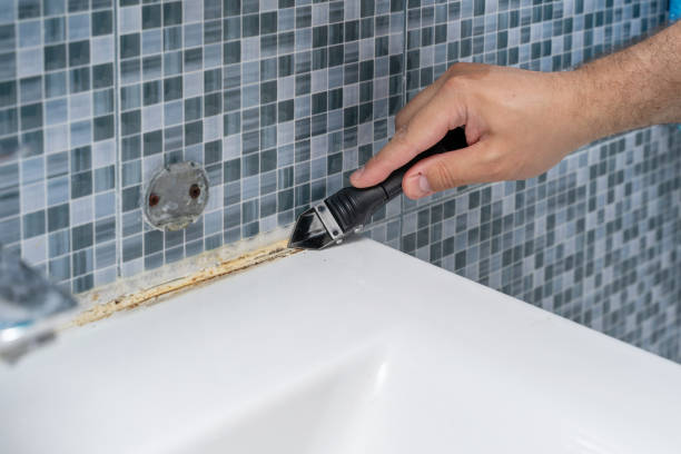 Best Toxic Mold Removal  in Temecula, CA